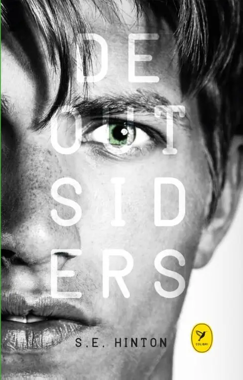 Omslag van De outsiders