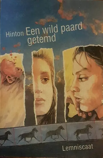 Omslag van Een wild paard getemd
