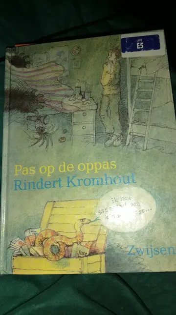 Omslag van Pas op de oppas