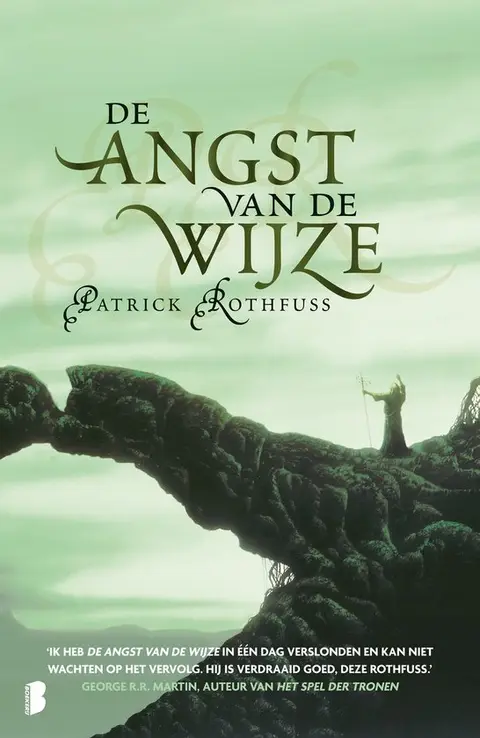 Omslag van De angst van de wijze