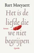 Omslag van Het is de liefde die we niet begrijpen