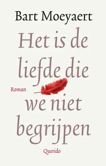 Omslag van Het is de liefde die we niet begrijpen