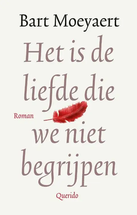 Omslag van Het is de liefde die we niet begrijpen