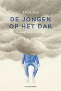 Omslag van De jongen op het dak