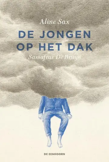 Omslag van De jongen op het dak