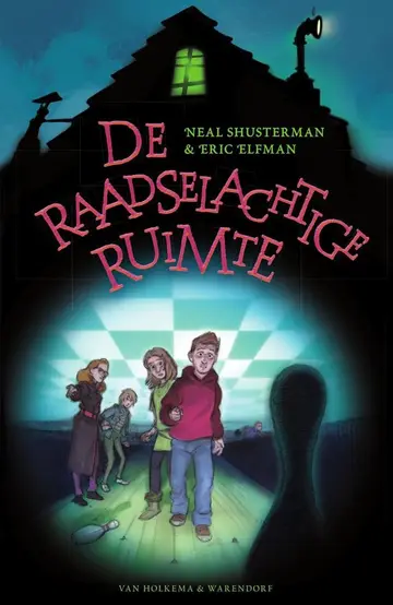 Omslag van De raadselachtige ruimte