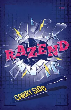 Omslag van Razend