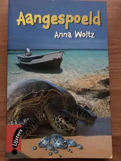 Omslag van Aangespoeld