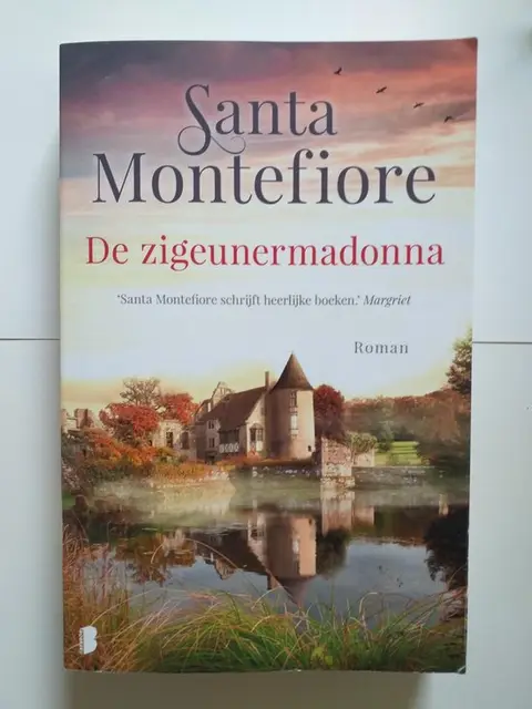 Omslag van De zigeunermadonna