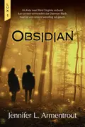 Omslag van Obsidian