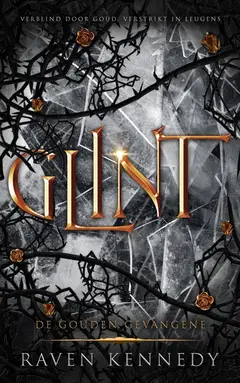 Omslag van Glint