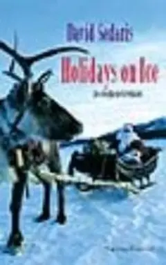 Omslag van Holidays on ice