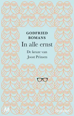 Omslag van In alle ernst