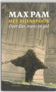 Omslag van Het bijenspook
