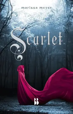 Omslag van Scarlet