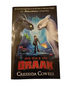 Omslag van Hoe tem je een draak