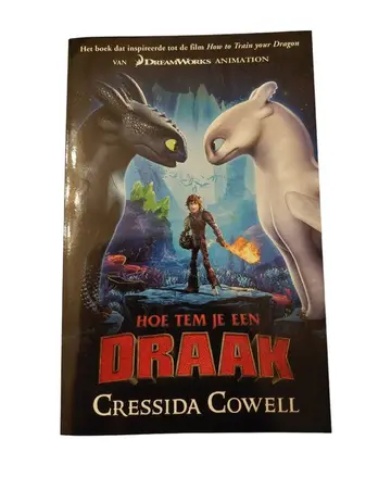 Omslag van Hoe tem je een draak