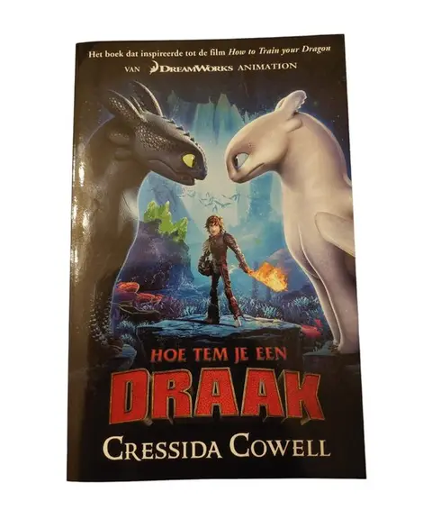 Omslag van Hoe tem je een draak