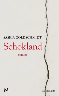 Omslag van Schokland