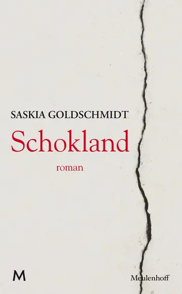 Omslag van Schokland