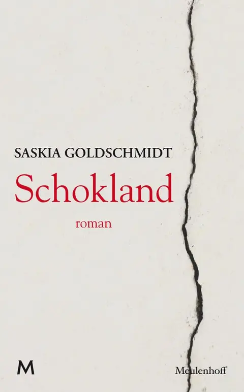 Omslag van Schokland