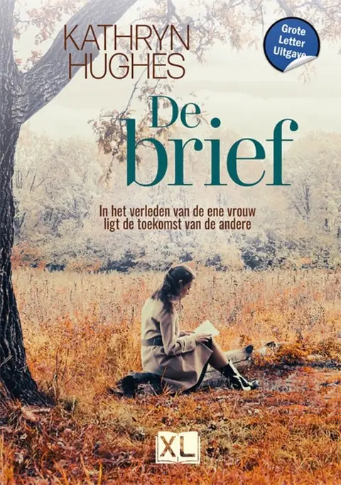 Omslag van De brief