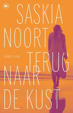 Omslag van Terug naar de kust