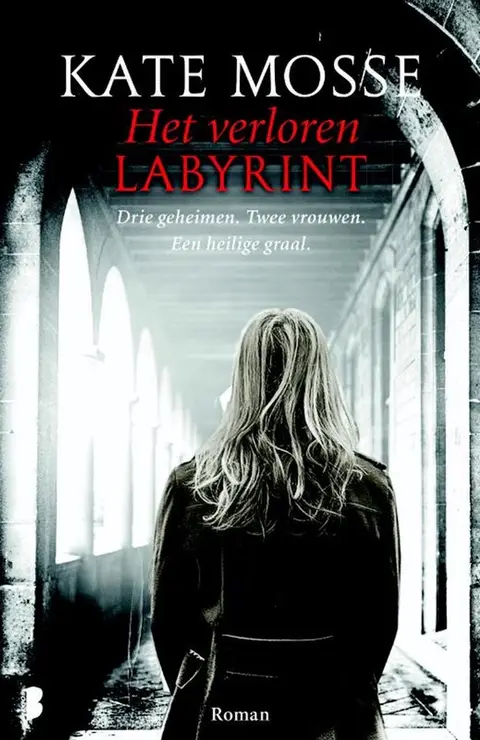 Omslag van Het verloren labyrint