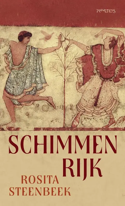 Omslag van Schimmenrijk