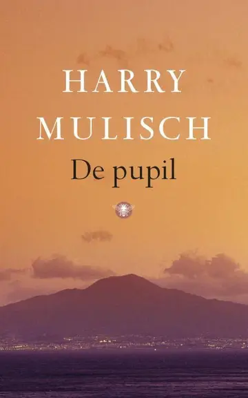 Omslag van De pupil