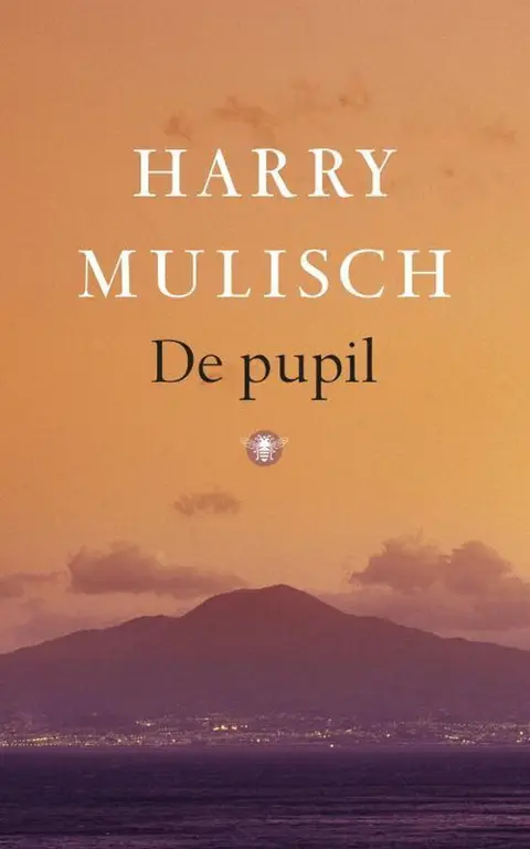 Omslag van De pupil