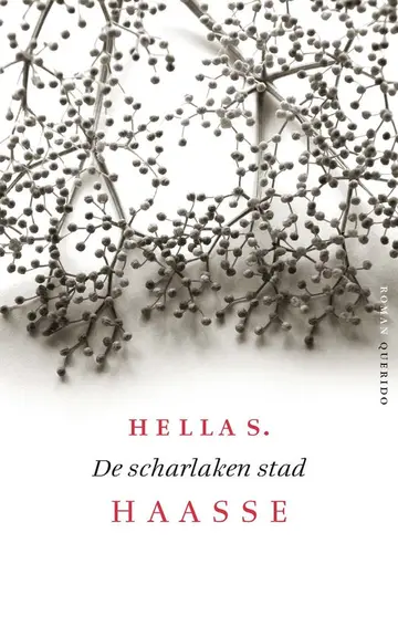 Omslag van De scharlaken stad