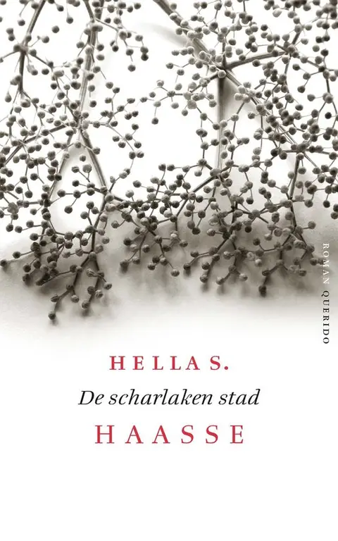 Omslag van De scharlaken stad