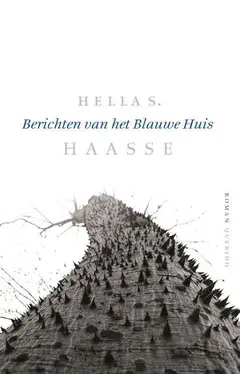 Omslag van Berichten van het Blauwe Huis