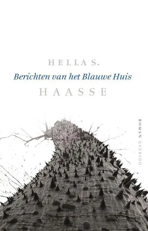 Omslag van Berichten van het Blauwe Huis
