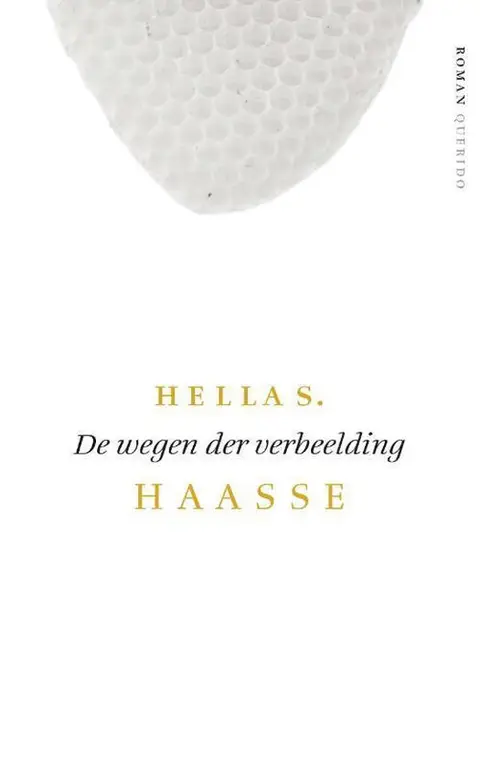Omslag van De wegen der verbeelding