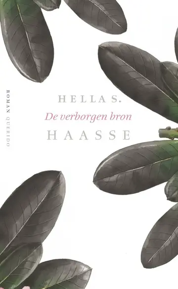 Omslag van De verborgen bron