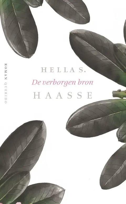 Omslag van De verborgen bron