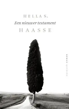 Omslag van Een nieuwer testament