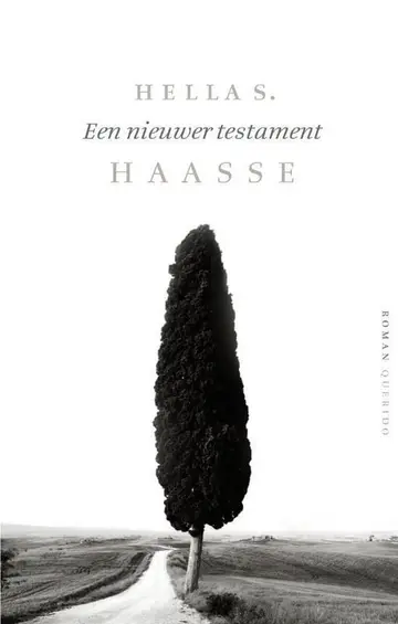 Omslag van Een nieuwer testament