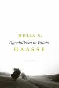 Omslag van Ogenblikken in Valois