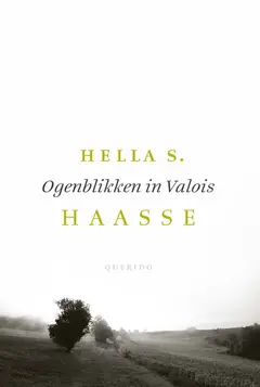 Omslag van Ogenblikken in Valois