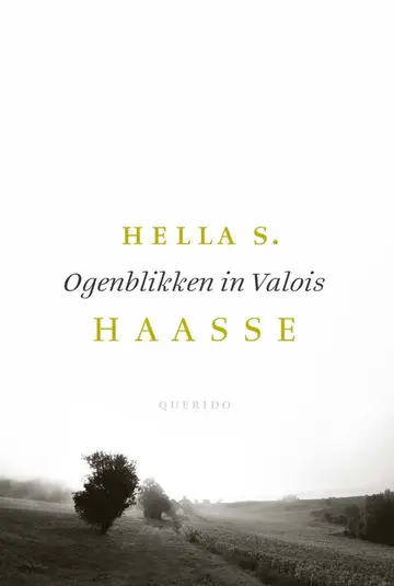 Omslag van Ogenblikken in Valois