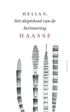Omslag van Het dieptelood van de herinnering
