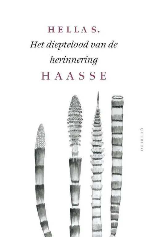 Omslag van Het dieptelood van de herinnering