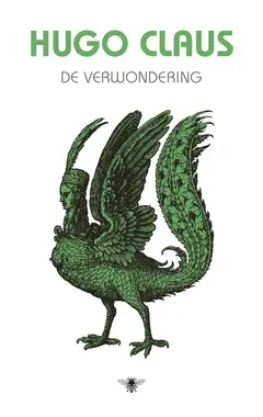 Omslag van De verwondering