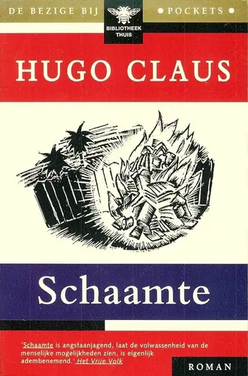 Omslag van Schaamte