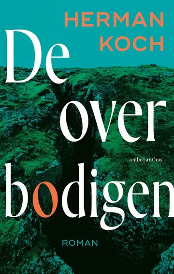 Omslag van De overbodigen