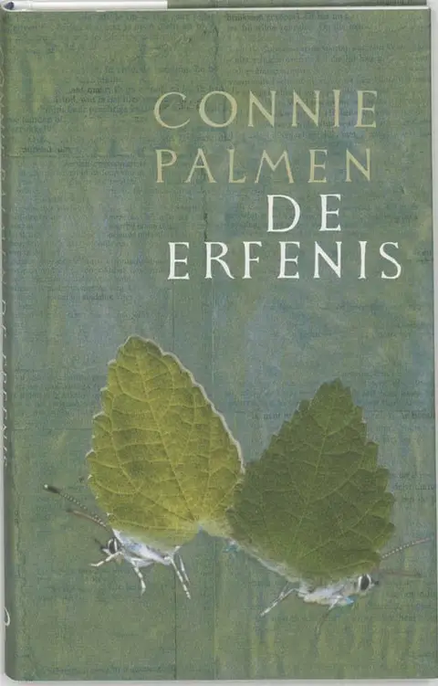 Omslag van De erfenis