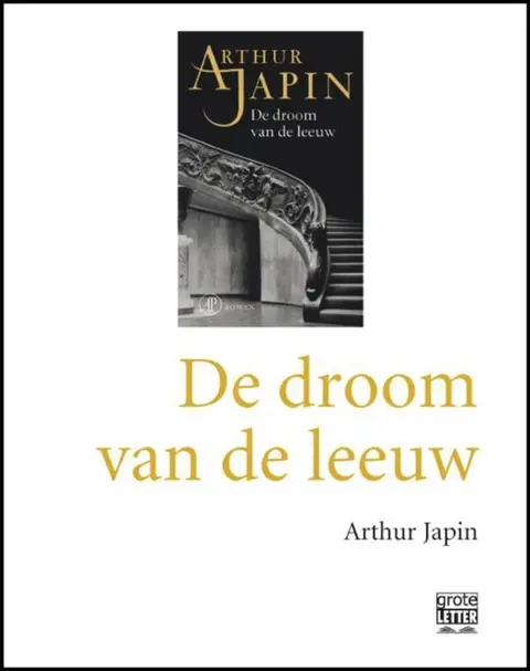 Omslag van De droom van de leeuw